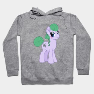 Hearth Blossom pony Hoodie